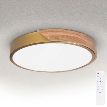 BRILAGI - LED prigušiva stropna svetiljka PILANA LED/48W/230V 3000-6500K hrast/zlatna prečnik 40 cm + daljinski upravljač