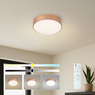 BRILAGI - LED prigušiva stropna svetiljka POOL LED/24W/230V 3000-6000K prečnik 20 cm bronzana + daljinski upravljač