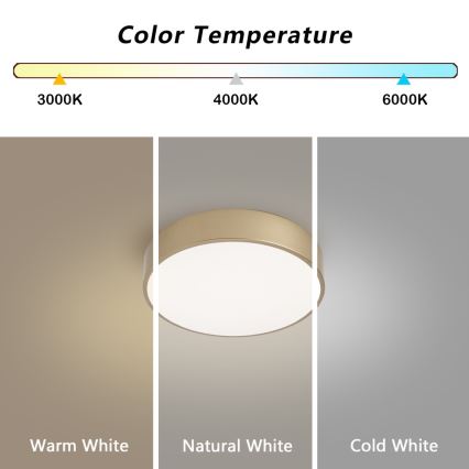 BRILAGI - prigušiva LED stropna svetiljka POOL LED/24W/230V 3000-6000K prečnik 20 cm zlatna + daljinski upravljač