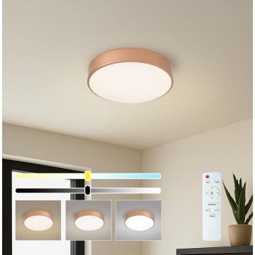 BRILAGI - LED prigušiva stropna svetiljka POOL LED/36W/230V 3000-6000K prečnik 30 cm bakarna + daljinski upravljač