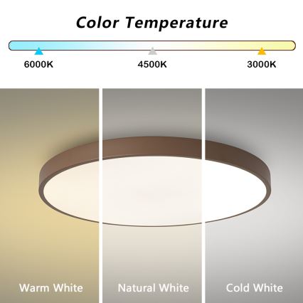 Brilagi - LED prigušiva stropno svetlo POOL LED/60W/230V 3000-6000K prečnik 60 cm braon + daljinski upravljač