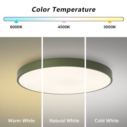 Brilagi - LED prigušiva stropna svetiljka POOL LED/60W/230V 3000-6000K prečnik 60 cm zelena + daljinski upravljač