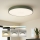 Brilagi - LED prigušiva stropna svetiljka POOL LED/60W/230V 3000-6000K prečnik 60 cm zelena + daljinski upravljač