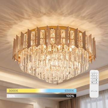 BRILAGI - LED prigušiva stropna svetiljka SPECTRA LED/45W/230V 3000-6000K prečnika 48 cm zlatna + daljinski upravljač