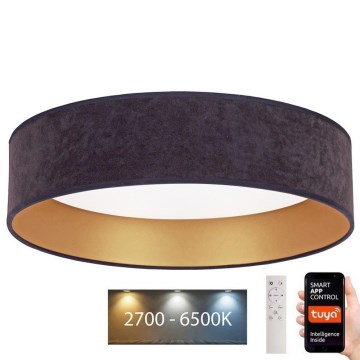 BRILAGI - LED prigušiva stropna svetiljka VELVET SMART LED/36W/230V pr. 55 cm 2700-6500K Wi-Fi Tuya siva/zlatna + daljinski upravljač