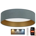 Brilagi - LED prigušiva stropna svetiljka VELVET SMART LED/36W/230V ø 55 cm 2700-6500K Wi-Fi Tuya mint/zlatna + daljinski upravljač