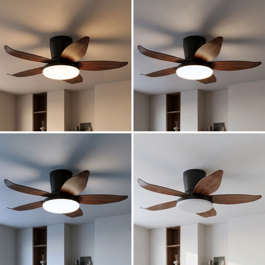 Brilagi - LED prigušiva plafonski ventilator LED/32W/230V 3000-6500K prečnik 95 cm crna/smeđa + daljinski upravljač