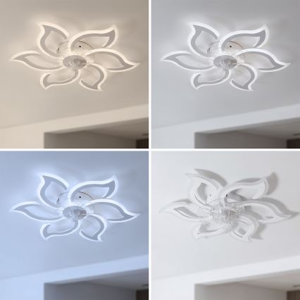 Brilagi - LED prigušiva plafonski ventilator, 34 W/230 V, 3000–6500 K, prečnik 83 cm, bela + daljinski upravljač