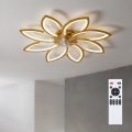 Brilagi - LED prigušiva stropni ventilator LED/43W/230V 3000-6500K pr. 90 cm zlatna + daljinski upravljač
