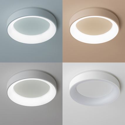 Brilagi - LED prigušiva stropna svetiljka FALCON LED/80W/230V 3000-6500K prečnik 60 cm bela + daljinski upravljač