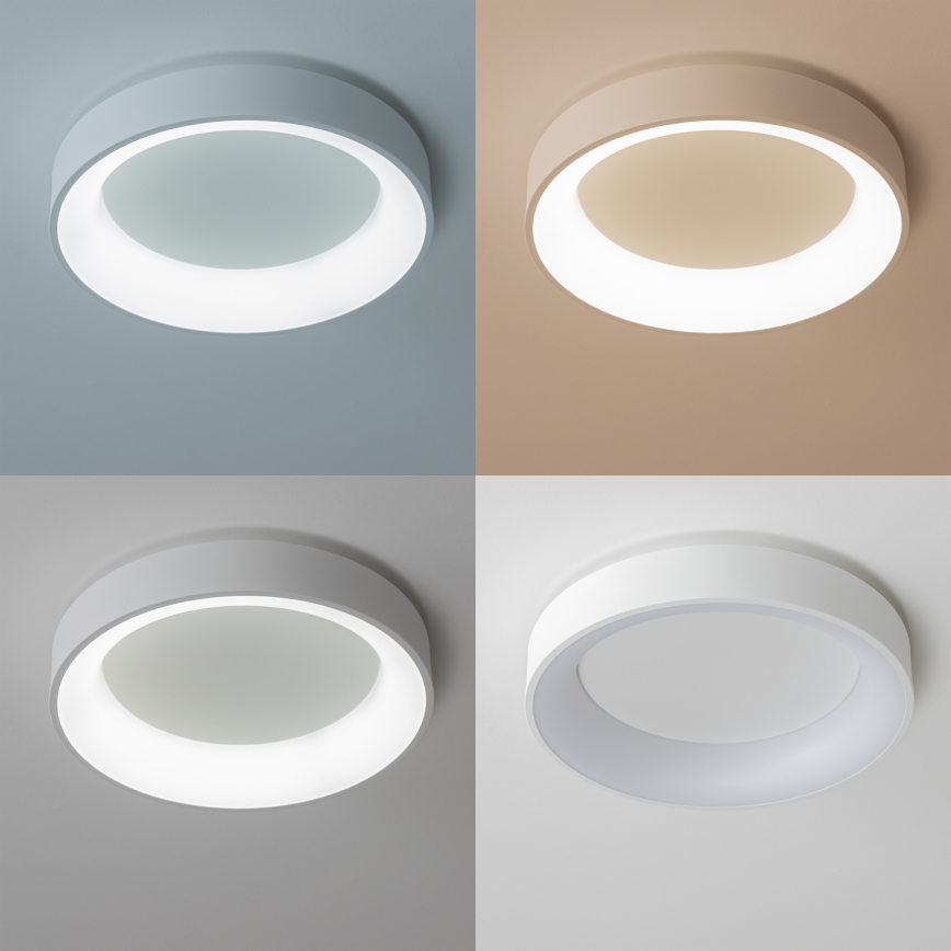 Brilagi - LED prigušiva stropna svetiljka FALCON LED/80W/230V 3000-6500K prečnik 60 cm bela + daljinski upravljač