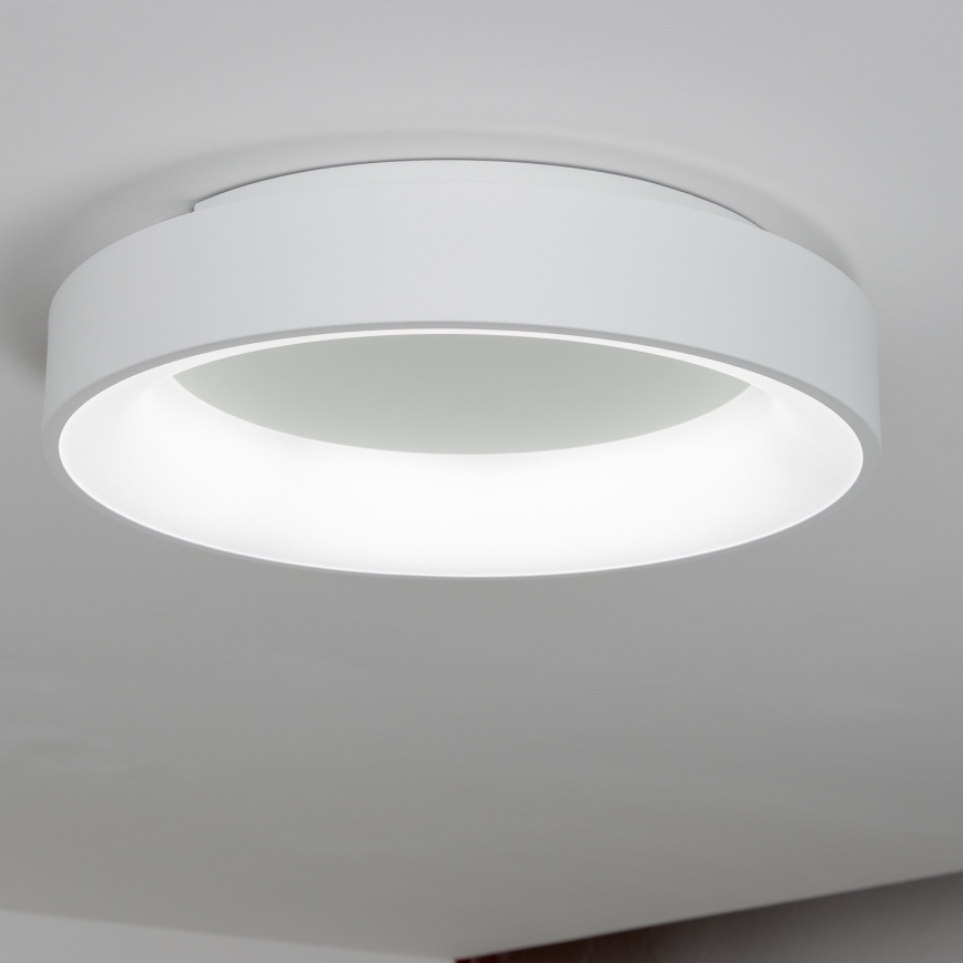 Brilagi - LED prigušiva stropna svetiljka FALCON LED/80W/230V 3000-6500K prečnik 60 cm bela + daljinski upravljač