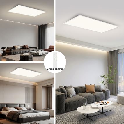 Brilagi - LED Prigušiva plafonska svetiljka SLIMFRAME LED/80W/230V 120x60 cm 3000-6000K bela + daljinski upravljač