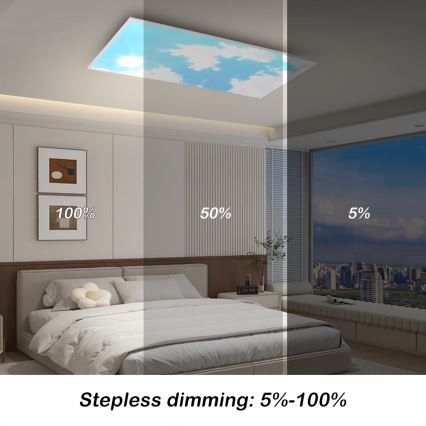 Brilagi - LED prigušiva stropno svetlo SLIMFRAME LED/80W/230V 120x60 cm 3000-6000K srebrna/plava + daljinski upravljač
