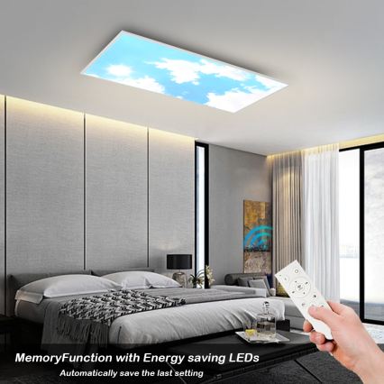 Brilagi - LED prigušiva stropno svetlo SLIMFRAME LED/80W/230V 120x60 cm 3000-6000K srebrna/plava + daljinski upravljač