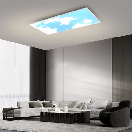 Brilagi - LED prigušiva stropno svetlo SLIMFRAME LED/80W/230V 120x60 cm 3000-6000K srebrna/plava + daljinski upravljač