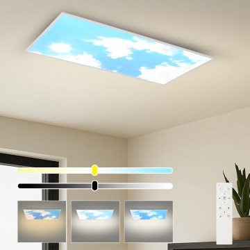 Brilagi - LED prigušiva stropno svetlo SLIMFRAME SKY LED/80W/230V 120x60 cm 3000-6000K srebrna/plava + daljinski upravljač