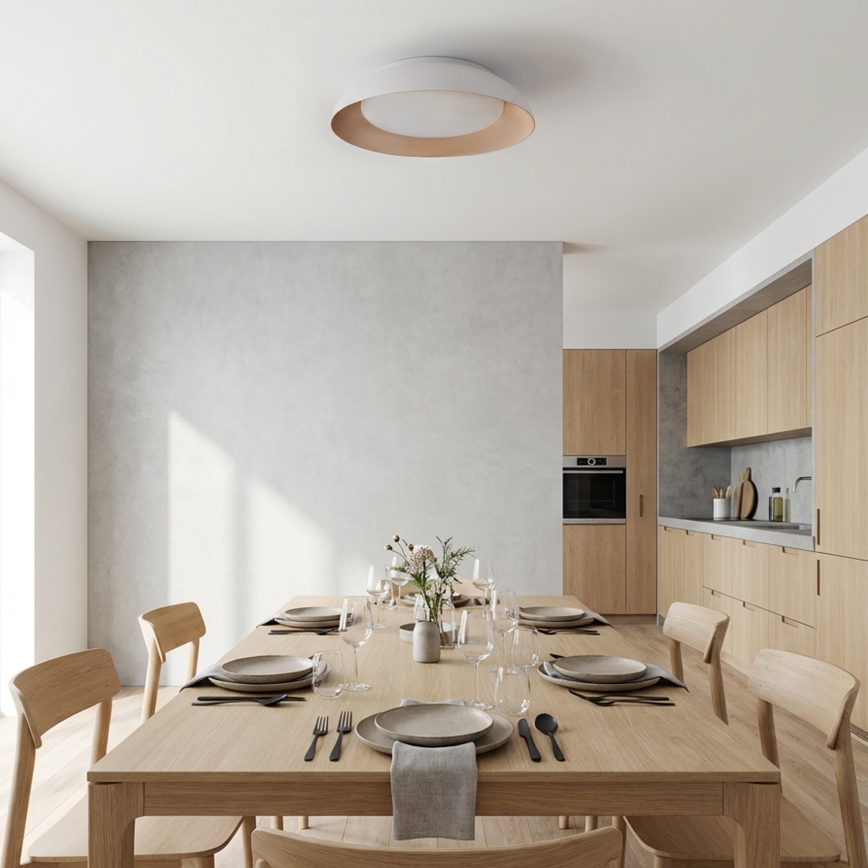 Brilagi - LED prigušiva plafonska svetiljka ALVA LED/48W/230V 3000-6500K prečnik 51 cm bela + daljinski upravljač