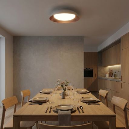 Brilagi - LED prigušiva plafonska svetiljka ALVA LED/48W/230V 3000-6500K prečnik 51 cm bela + daljinski upravljač