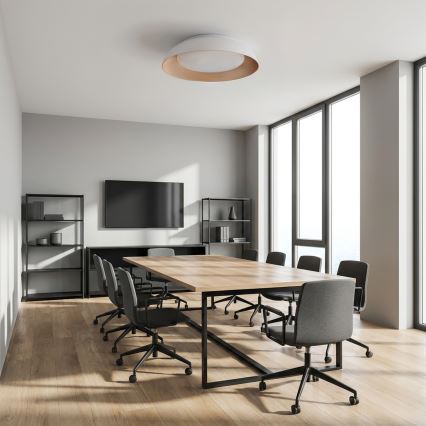 Brilagi - LED prigušiva plafonska svetiljka ALVA LED/48W/230V 3000-6500K prečnik 51 cm bela + daljinski upravljač