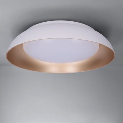 Brilagi - LED prigušiva plafonska svetiljka ALVA LED/48W/230V 3000-6500K prečnik 51 cm bela + daljinski upravljač