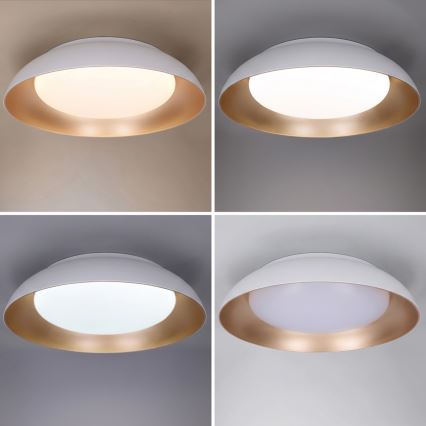 Brilagi - LED prigušiva plafonska svetiljka ALVA LED/48W/230V 3000-6500K prečnik 51 cm bela + daljinski upravljač