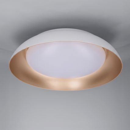 Brilagi - LED prigušiva plafonska svetiljka ALVA LED/48W/230V 3000-6500K prečnik 51 cm bela + daljinski upravljač