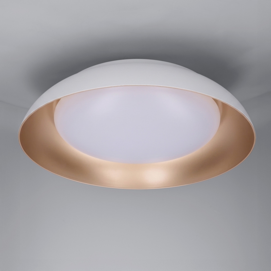 Brilagi - LED prigušiva plafonska svetiljka ALVA LED/48W/230V 3000-6500K prečnik 51 cm bela + daljinski upravljač