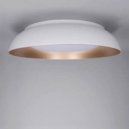 Brilagi - LED prigušiva plafonska svetiljka ALVA LED/48W/230V 3000-6500K prečnik 51 cm bela + daljinski upravljač