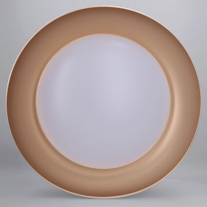 Brilagi - LED prigušiva plafonska svetiljka ALVA LED/48W/230V 3000-6500K prečnik 51 cm bela + daljinski upravljač