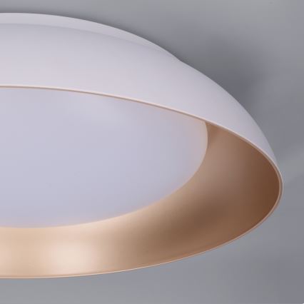 Brilagi - LED prigušiva plafonska svetiljka ALVA LED/48W/230V 3000-6500K prečnik 51 cm bela + daljinski upravljač