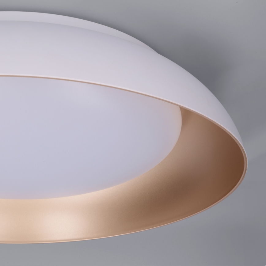 Brilagi - LED prigušiva plafonska svetiljka ALVA LED/48W/230V 3000-6500K prečnik 51 cm bela + daljinski upravljač