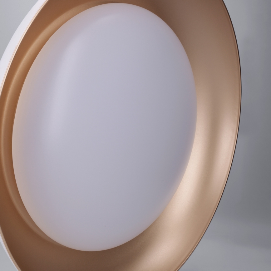 Brilagi - LED prigušiva plafonska svetiljka ALVA LED/48W/230V 3000-6500K prečnik 51 cm bela + daljinski upravljač
