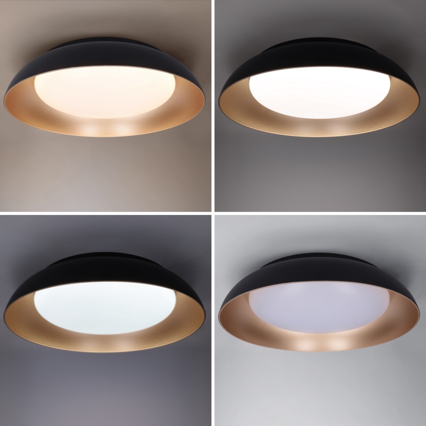 Brilagi - LED prigušiva stropna svetiljka ALVA LED/48W/230V 3000-6500K Ø 51 cm crna + daljinski upravljač