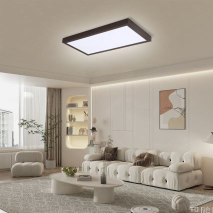 Brilagi - LED prigušiva plafonska svetiljka za kupatilo FRAME SMART LED/30W/230V 30x60 cm 3000-6000K IP44 crna + daljinski upravljač