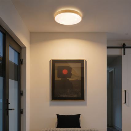 Brilagi - LED prigušiva plafonska svetiljka GLASS POOL DOUBLE LED/48W/230V 3000-6000K 40 cm dekor drveta + daljinski upravljač