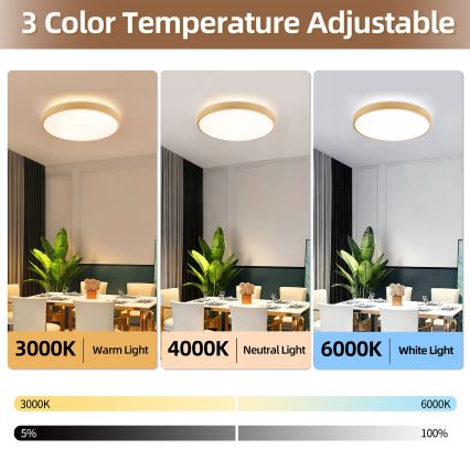Brilagi - LED prigušiva stropna svetiljka GLASS POOL DOUBLE LED/60W/230V 3000-6000K 50 cm dekor drveta + daljinski upravljač