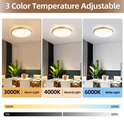 Brilagi - LED prigušiva plafonska svetiljka GLASS POOL DOUBLE LED/60W/230V 3000-6000K 50 cm zlatna + daljinski upravljač