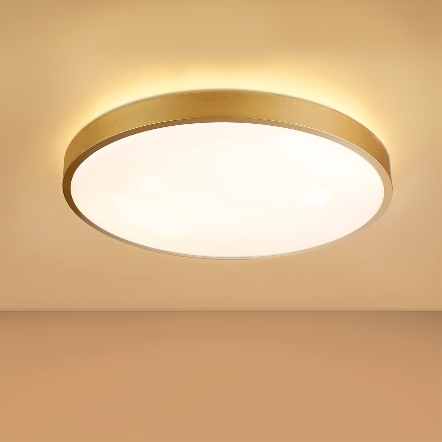 Brilagi - LED prigušiva plafonska svetiljka GLASS POOL DOUBLE LED/60W/230V 3000-6000K 50 cm zlatna + daljinski upravljač