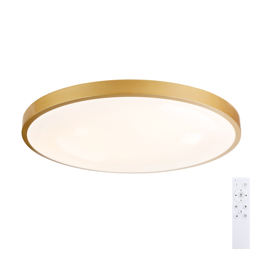 Brilagi - LED prigušiva plafonska lampa GLASS POOL DOUBLE LED/80W/230V 3000-6000K 60 cm zlatna + daljinski upravljač