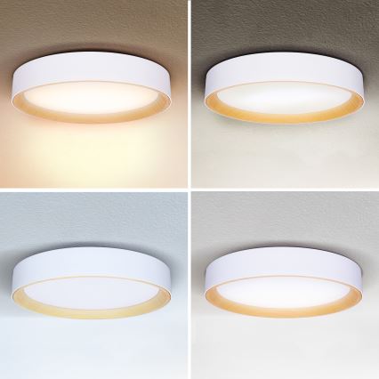 Brilagi - LED prigušiva plafonska svetiljka LARIOS LED/60W/230V 3000-6500K fi 49 cm bela + daljinsko upravljanje
