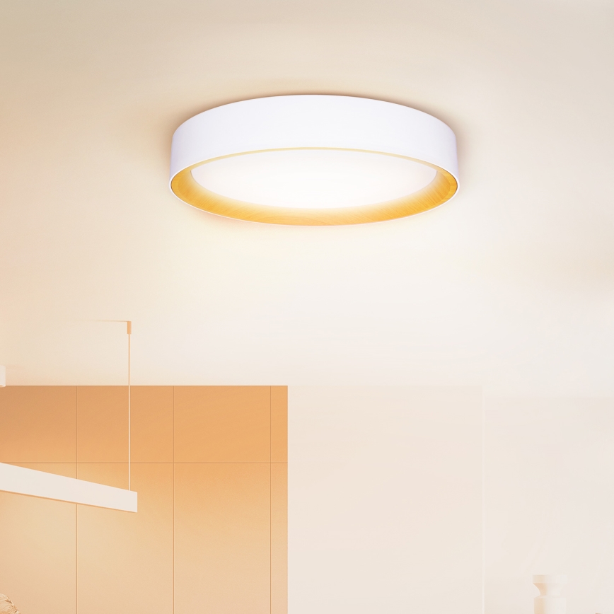 Brilagi - LED prigušiva plafonska svetiljka LARIOS LED/60W/230V 3000-6500K fi 49 cm bela + daljinsko upravljanje