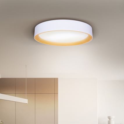 Brilagi - LED prigušiva plafonska svetiljka LARIOS LED/60W/230V 3000-6500K fi 49 cm bela + daljinsko upravljanje