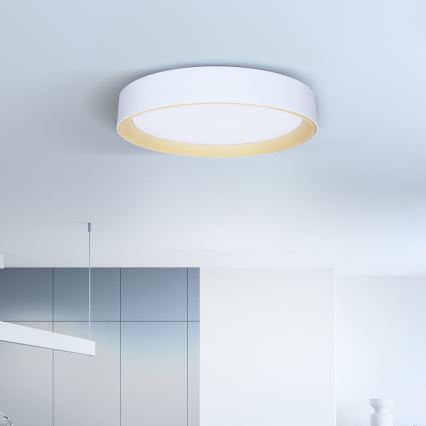 Brilagi - LED prigušiva plafonska svetiljka LARIOS LED/60W/230V 3000-6500K fi 49 cm bela + daljinsko upravljanje