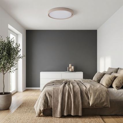 Brilagi - LED prigušiva plafonska svetiljka MATTEO LED/60W/230V 3000-6500K prečnik 51,5 cm taupe + sa daljinskim upravljačem