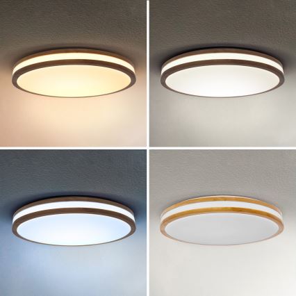 BRILAGI - LED prigušiva stropna svetiljka MOLINA LED/60W/230V 3000-6500K hrast, prečnik 58 cm + daljinski upravljač