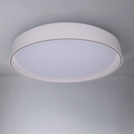 Brilagi - LED prigušiva stropno svetlo NANCI LED/60W/230V 3000-6500K prečnik 49 cm belo + daljinski upravljač