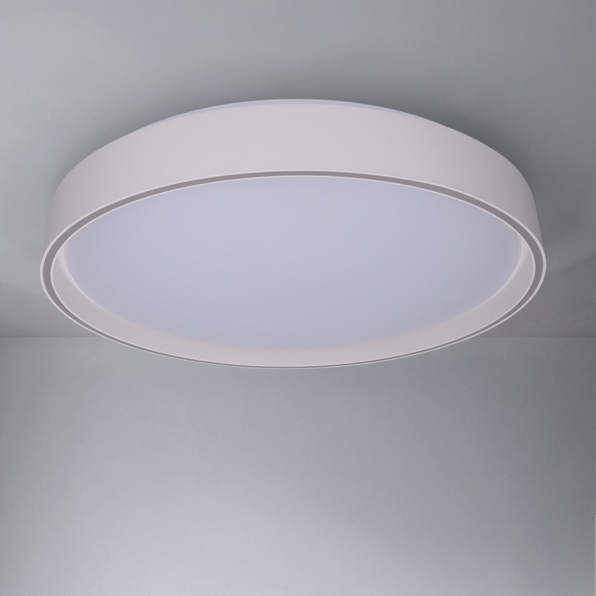 Brilagi - LED prigušiva stropno svetlo NANCI LED/60W/230V 3000-6500K prečnik 49 cm belo + daljinski upravljač