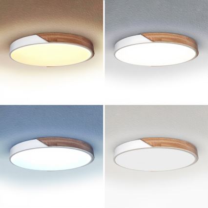 Brilagi - LED prigušiva plafonsko svetlo PILANA LED/60W/230V 3000-6500K hrast/bela pr. 60 cm + daljinski upravljač