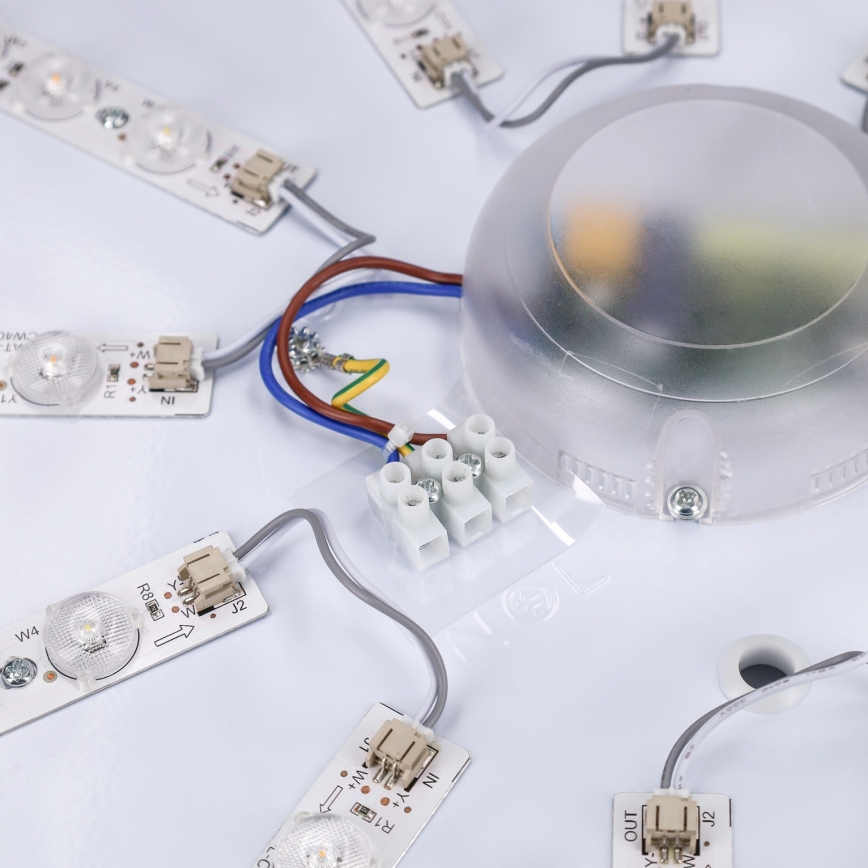 Brilagi - LED prigušiva plafonska svetiljka PILANA LED/72W/230V 3000-6500K hrast/crna, prečnik 80 cm + daljinski upravljač